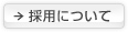 �̗p�ɂ���